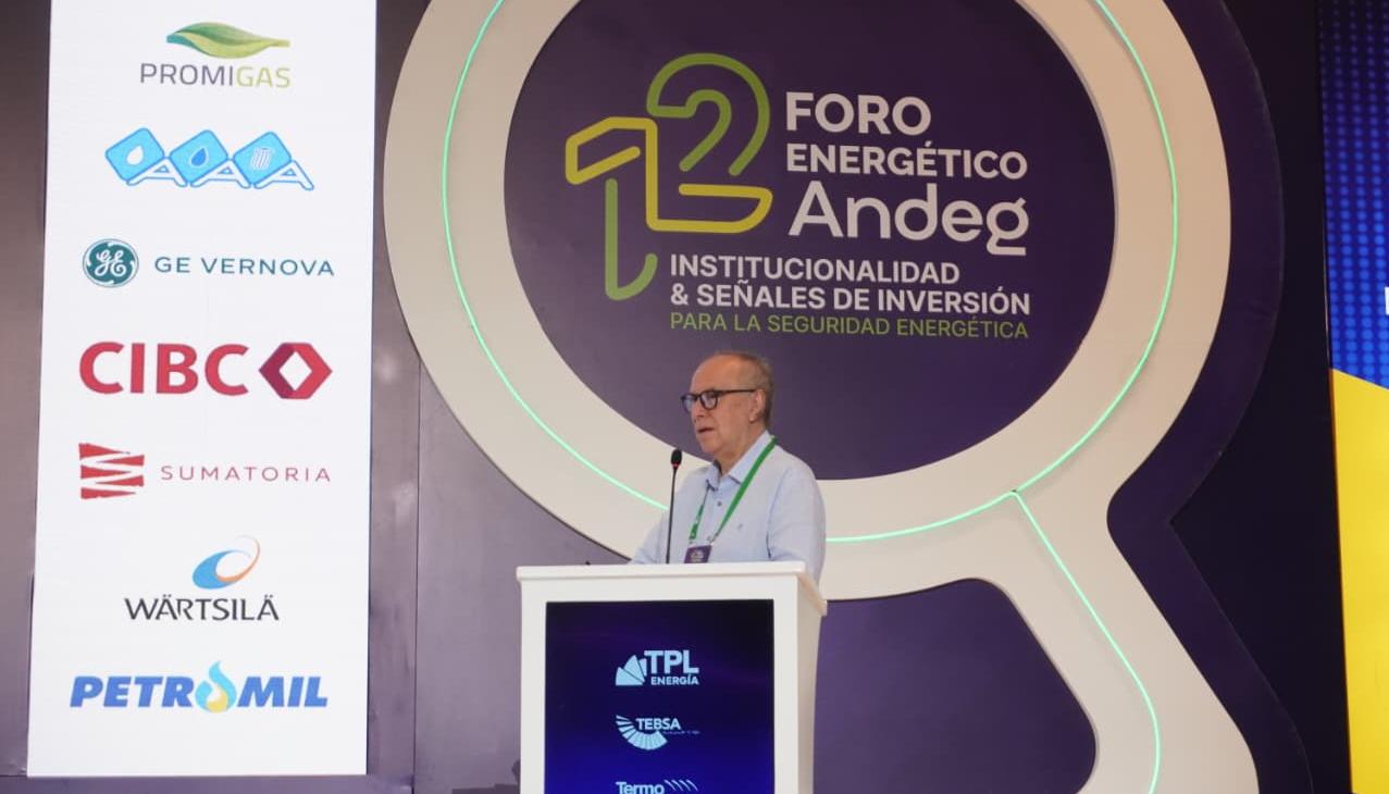 Juan Benavides, investigador de Fedesarrollo.