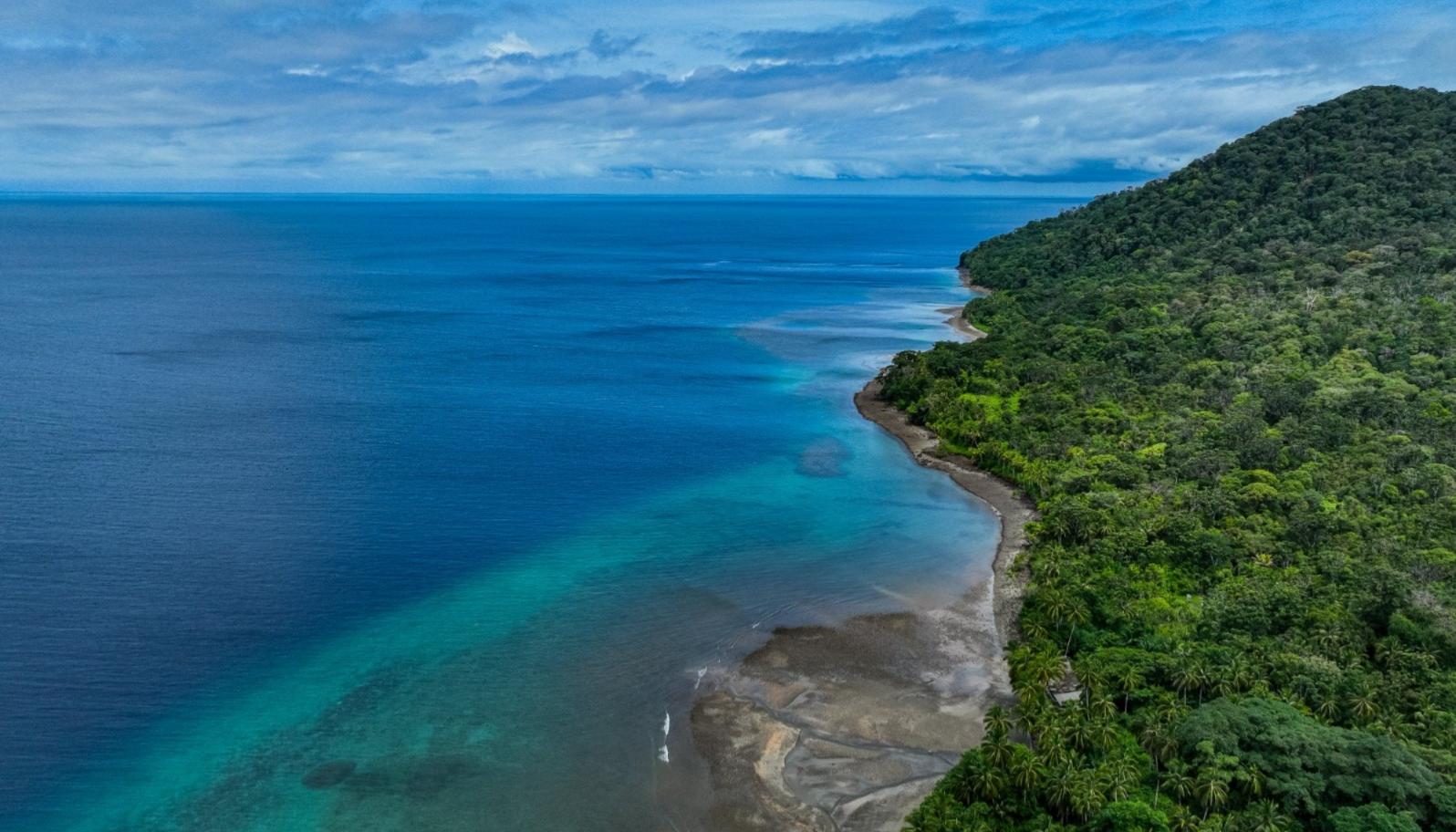 Isla Gorgona, en el Pacífico. 