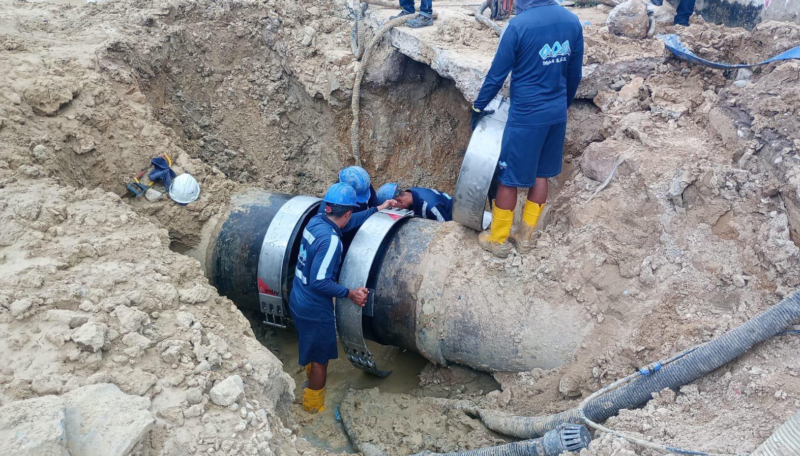 Imagen de referencia.