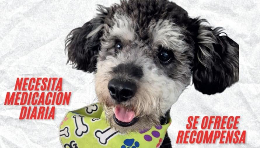 Cualquier información, comunicarse a los números 3015788567 – 3150637847.  