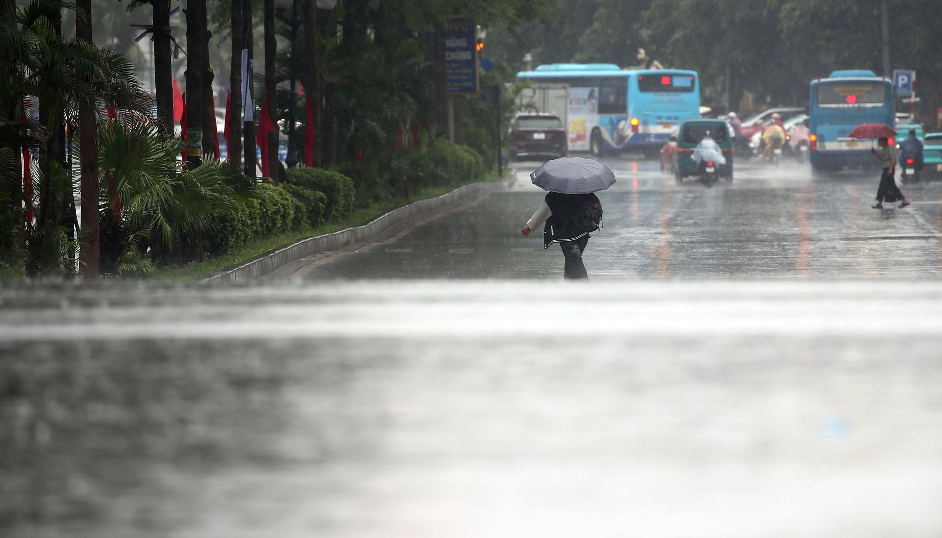 Imagen de referencia.