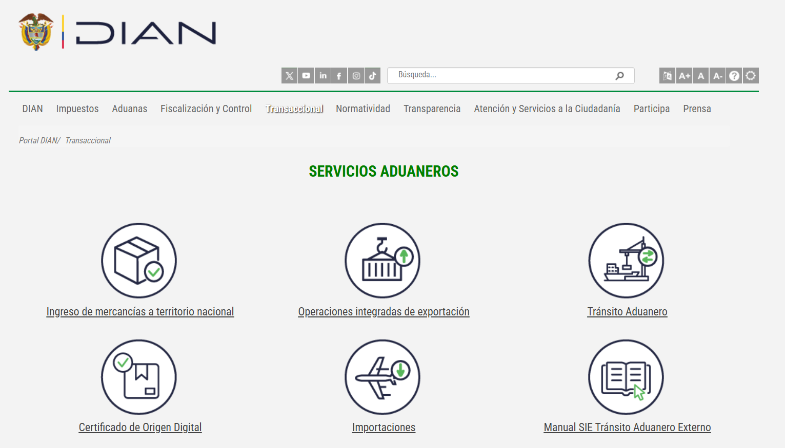 Pagina web de la Dian. 