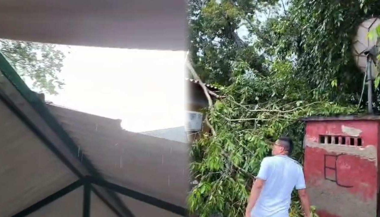 Daños en la infraestructura del colegio. 