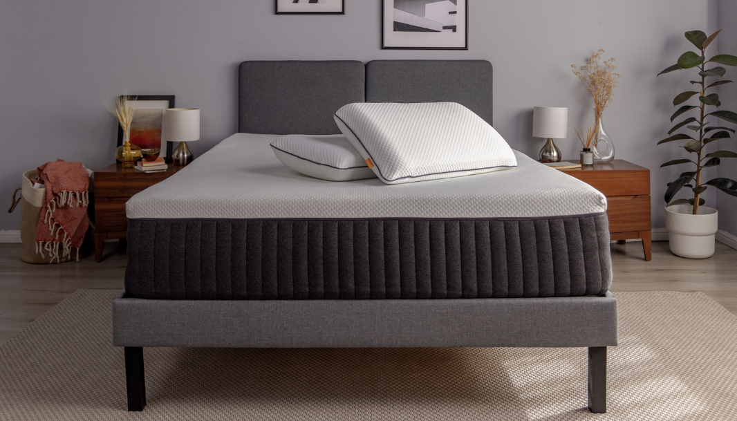 Imagen de referencia.