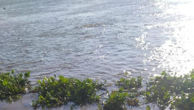 Lugar donde fue hallado.