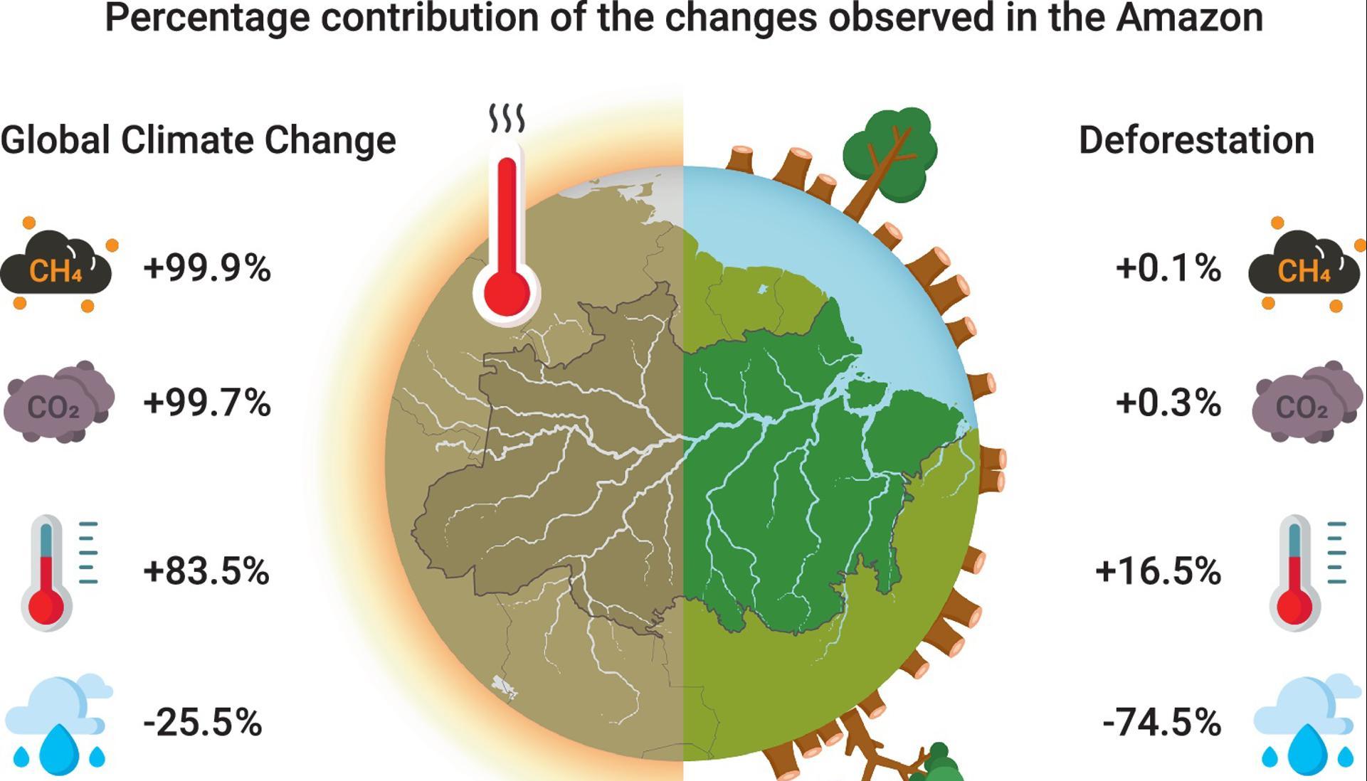 Gráfico que revela el porcentaje de contribución a las alteraciones ambientales en la Amazonía.