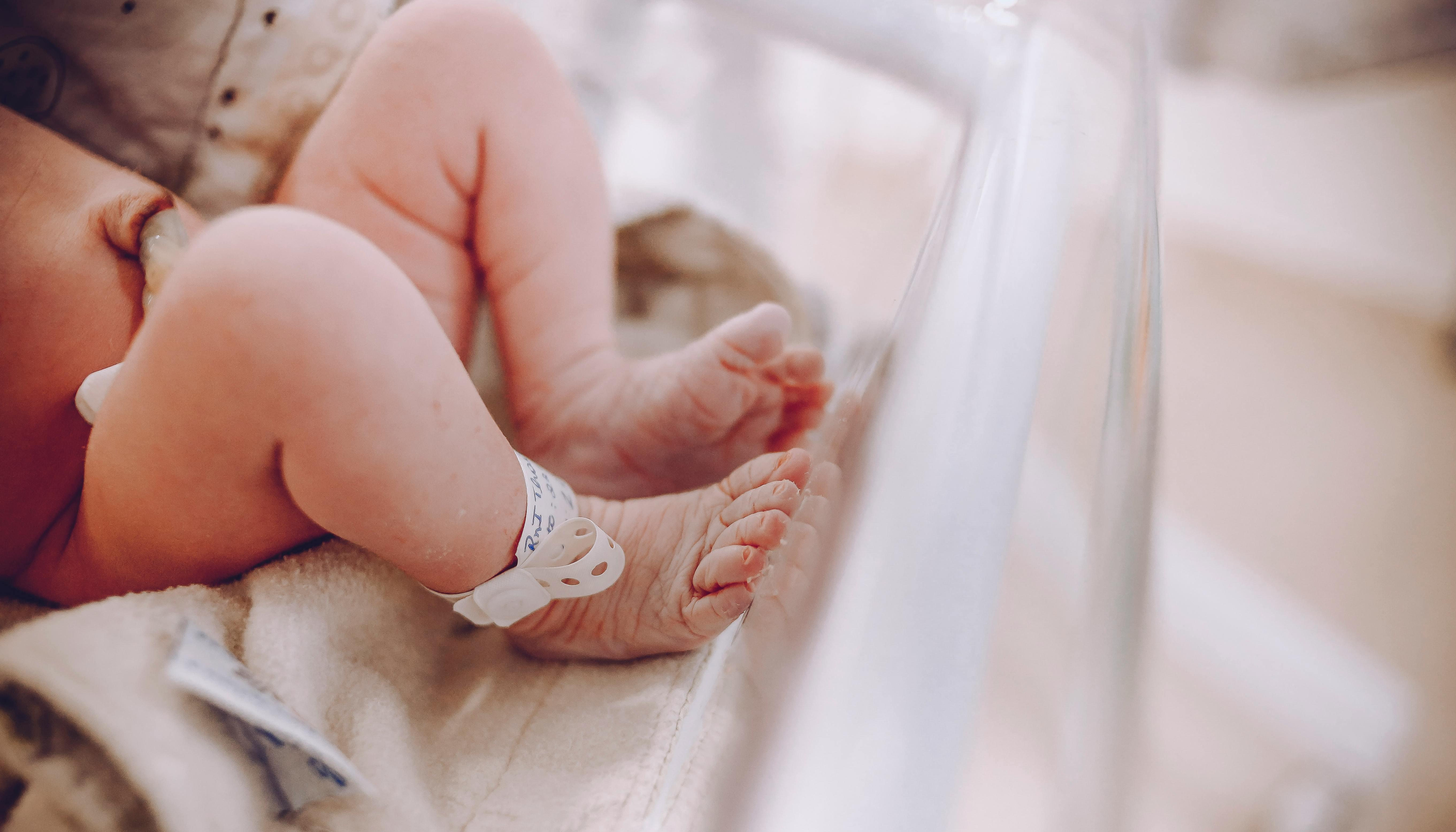 Imagen de referencia.