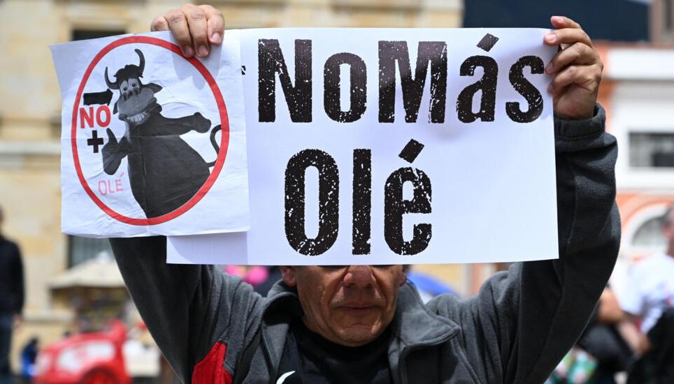 Ley conocida como No más Olé.