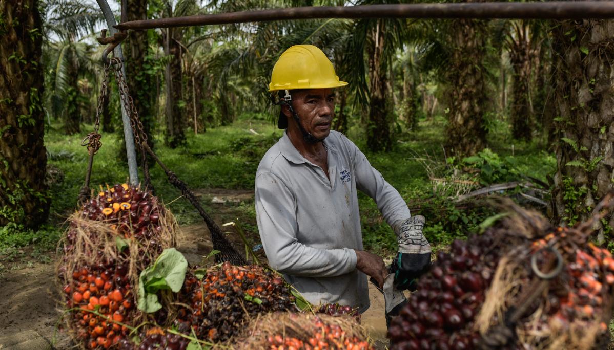 El evento se realizará del 23 al 25 de septiembre en Cartagena. 