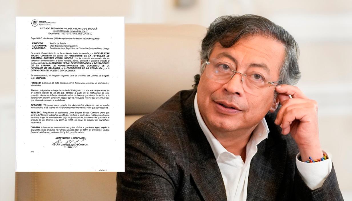 La tutela y el Presidente Gustavo Petro.