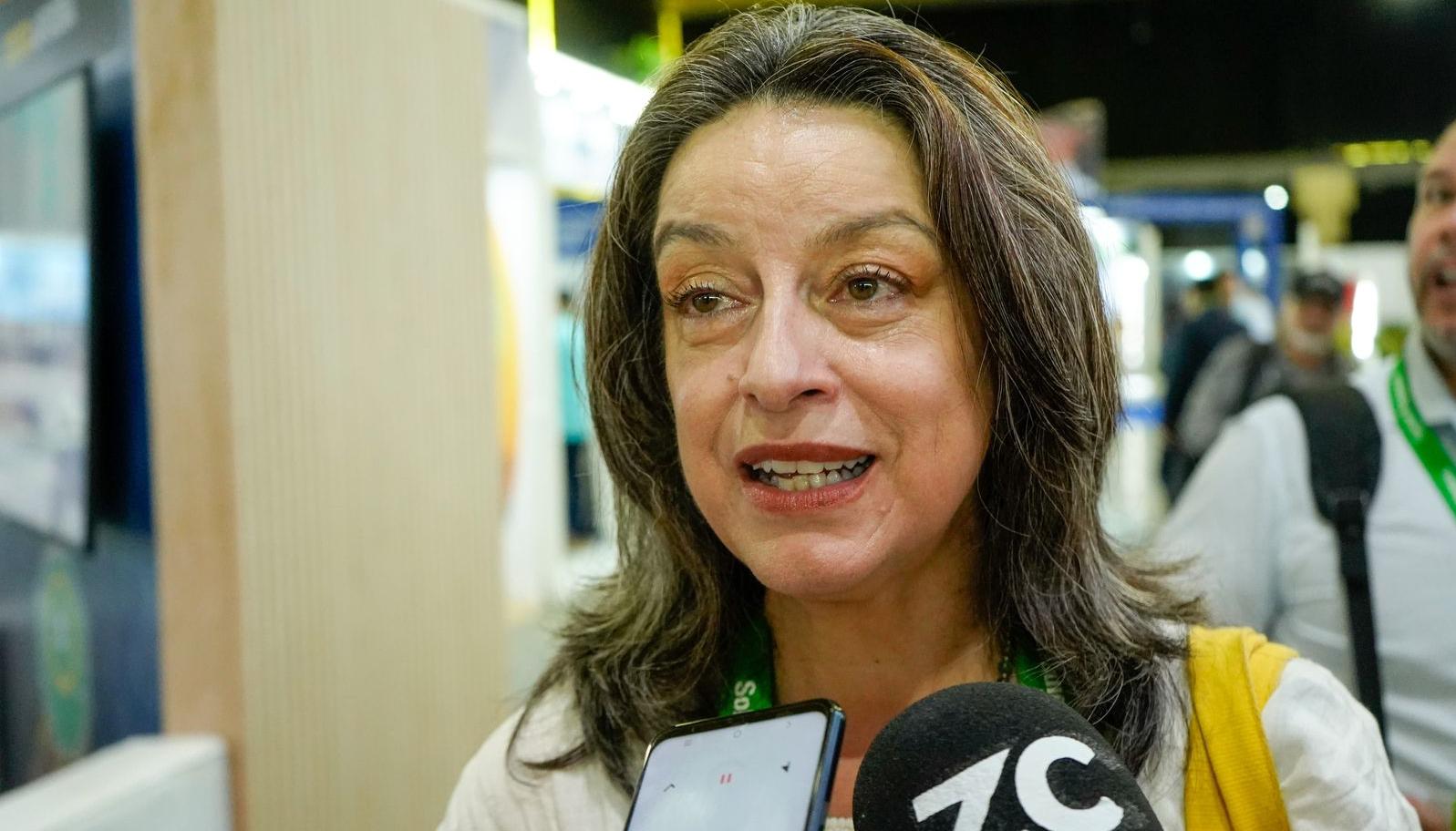 Sandra Fonseca, directora Ejecutiva de Asoenergía.