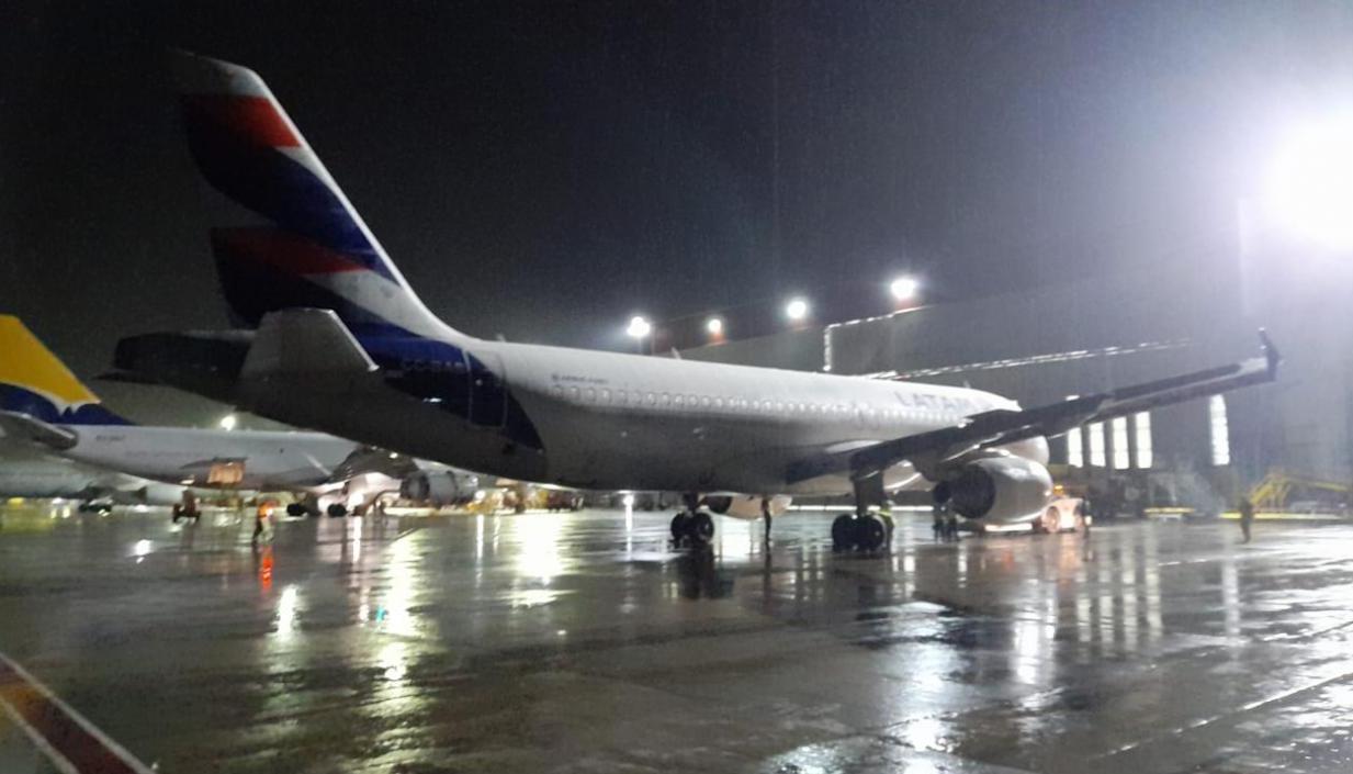 Se espera de la aprobación del aceite de palma como materia prima para el SAF por parte OACI.