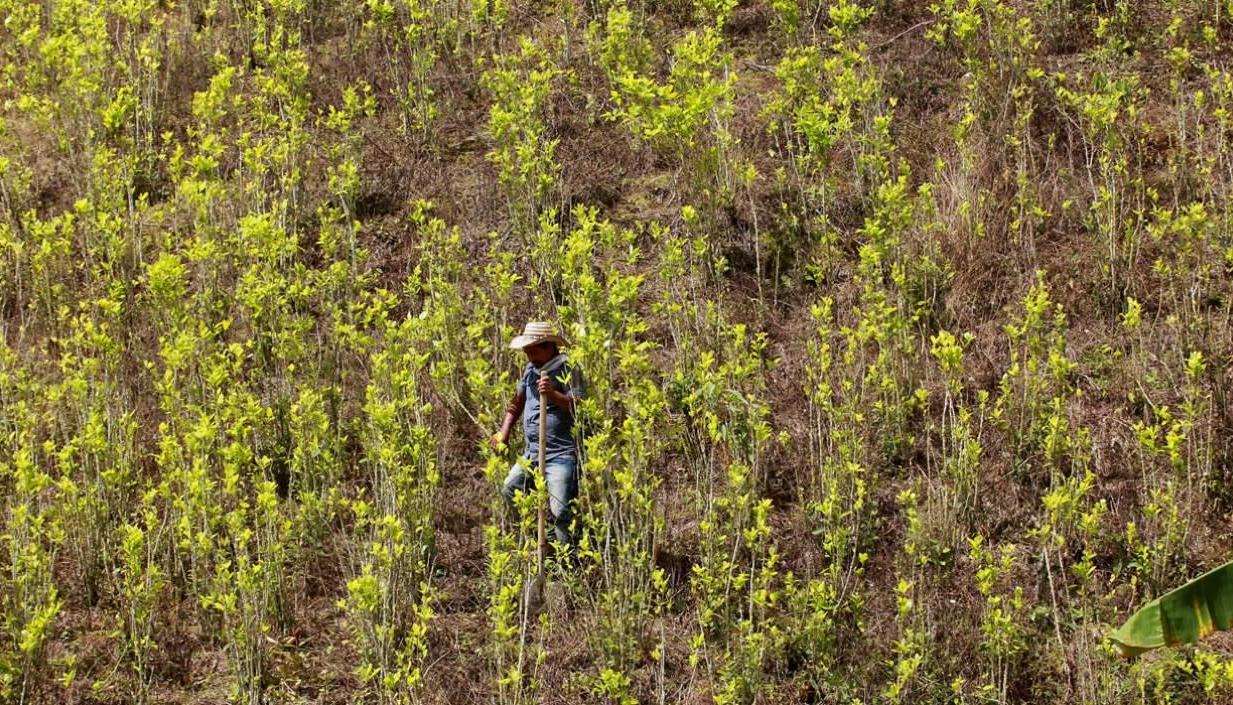 Imagen de referencia.