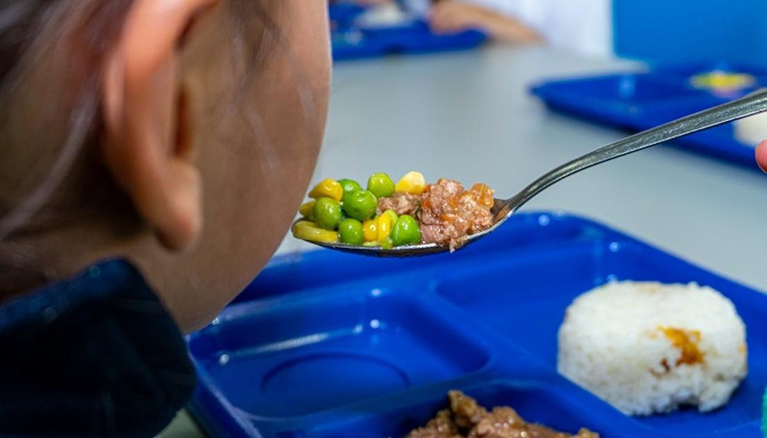 Imagen de referencia del PAE.