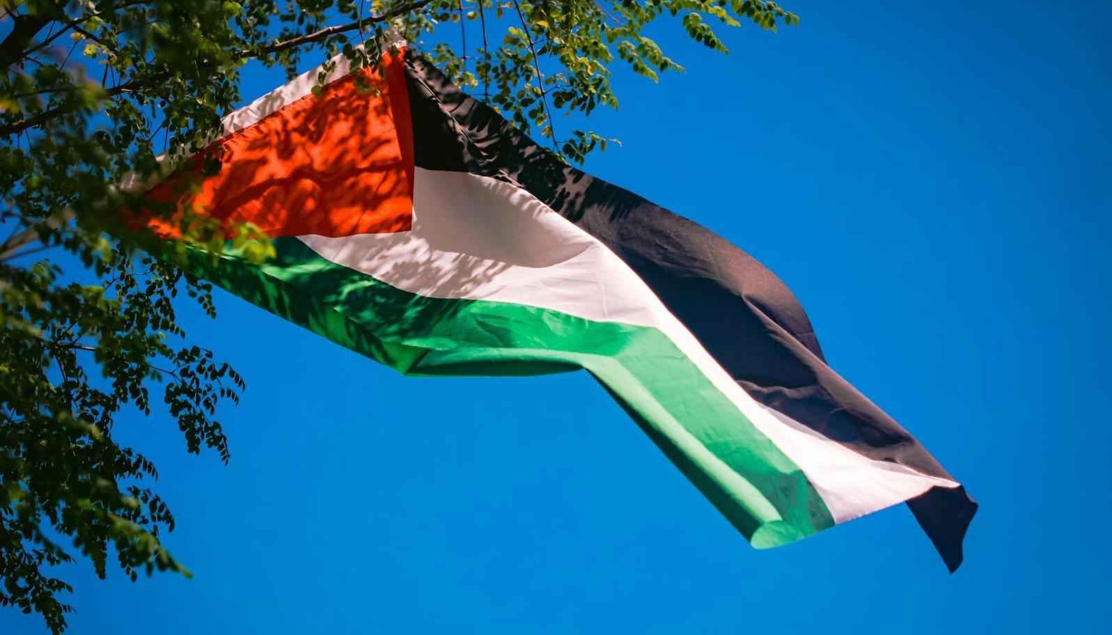 Bandera de Palestina.