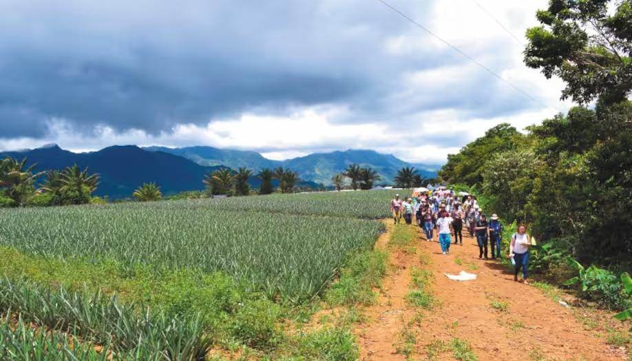Espacio Territorial de Capacitación y Reincorporación Agua Bonita. 