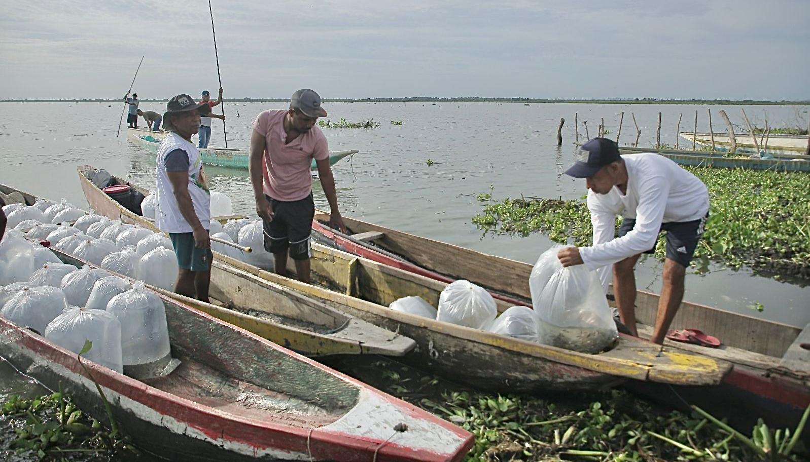Beneficiarios del ‘Plan + Pescao’