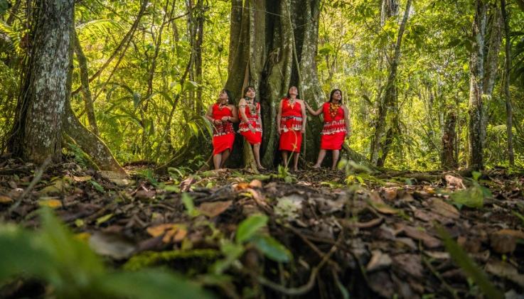 Imagen de referencia.