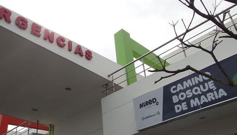 Camino Bosque de María. 