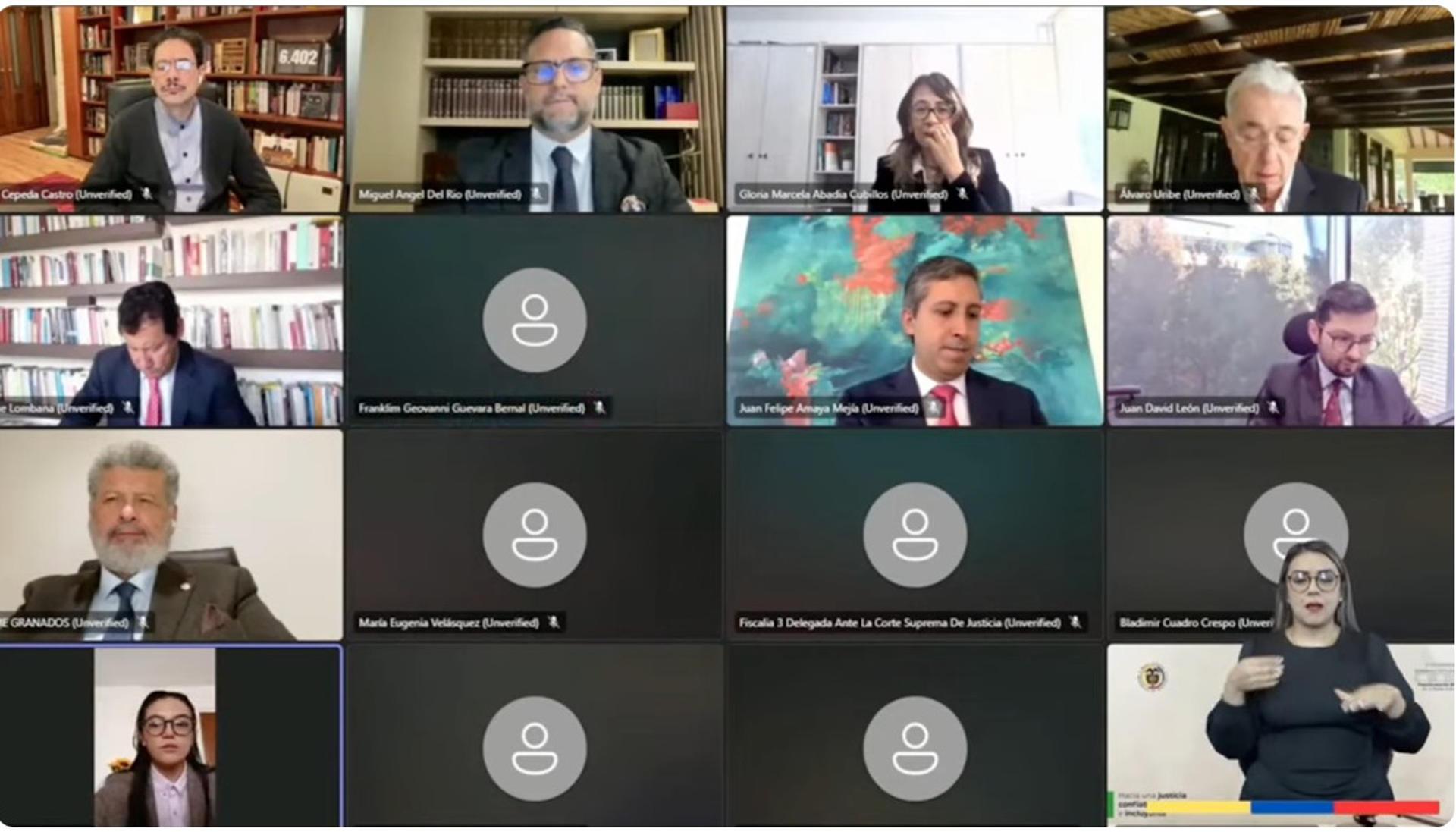 Captura de pantalla de video de la audiencia