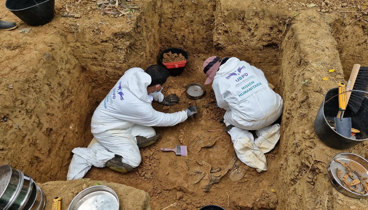 Imagen de referencia.