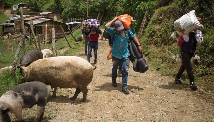 Desplazamiento Forzado