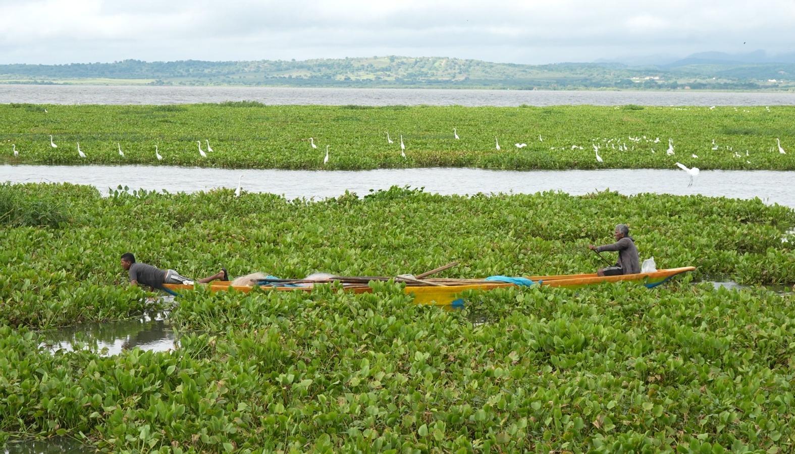 Embalse del Guájaro