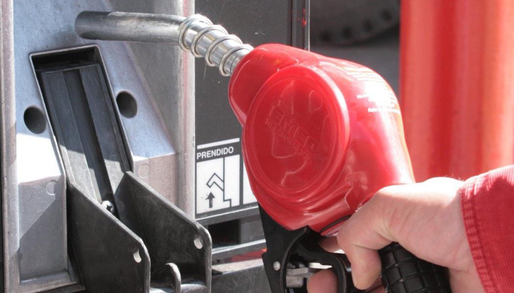 Imagen de referencia.