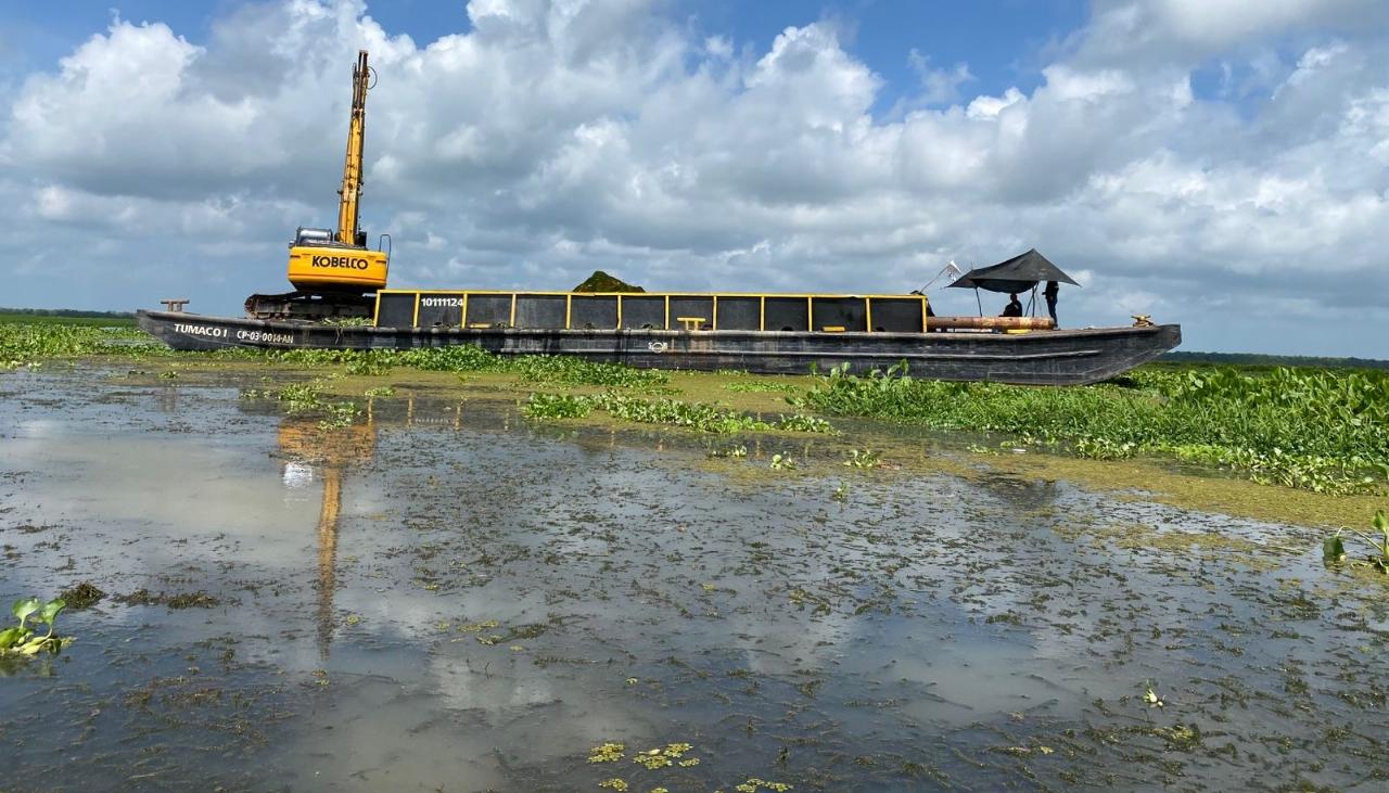 La invasión de Hydrilla en la Ciénaga Grande de Santa Marta