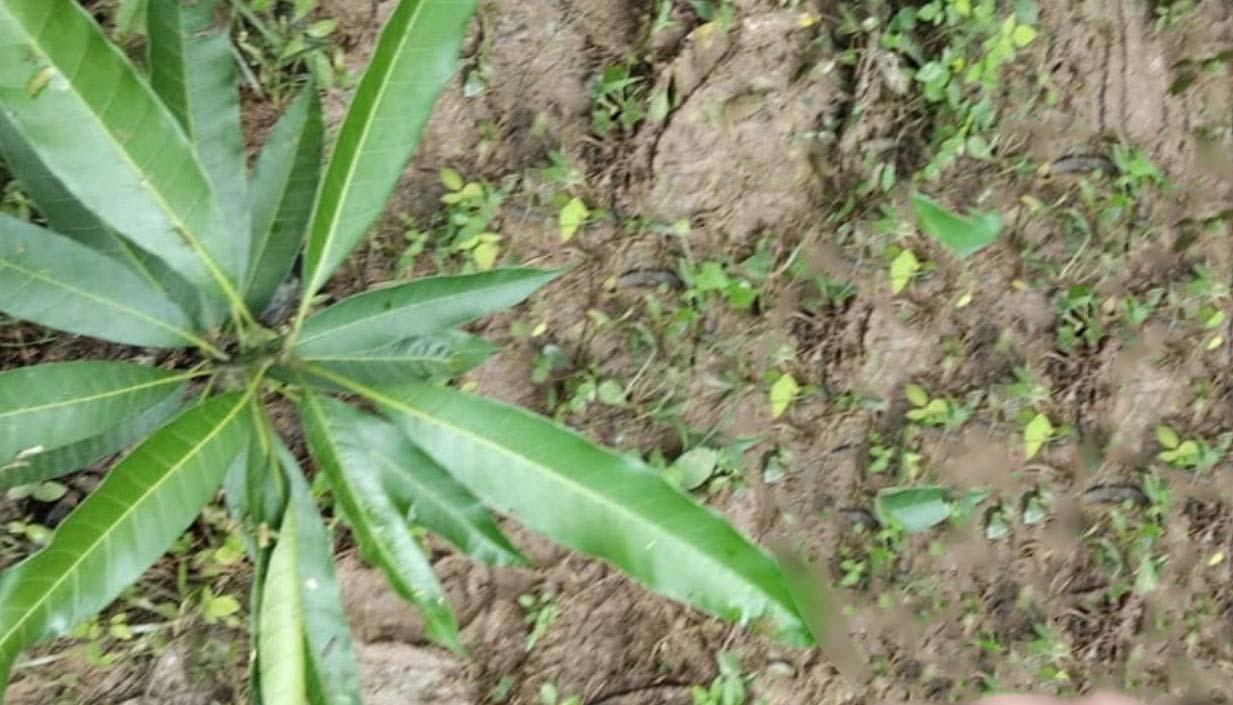 Hallan sin vida a un hombre dentro de una vivienda en Juan de Acosta