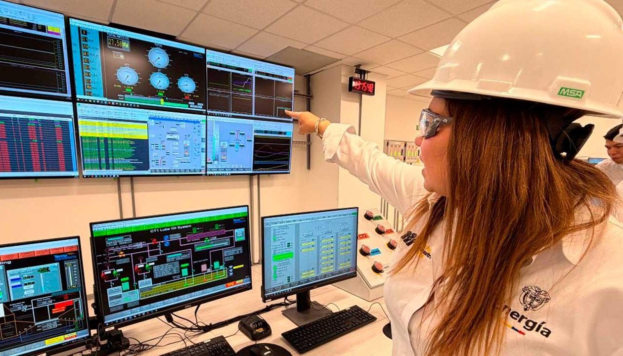 La Ministra de Minas y Energía encargada, Karen Schutt.