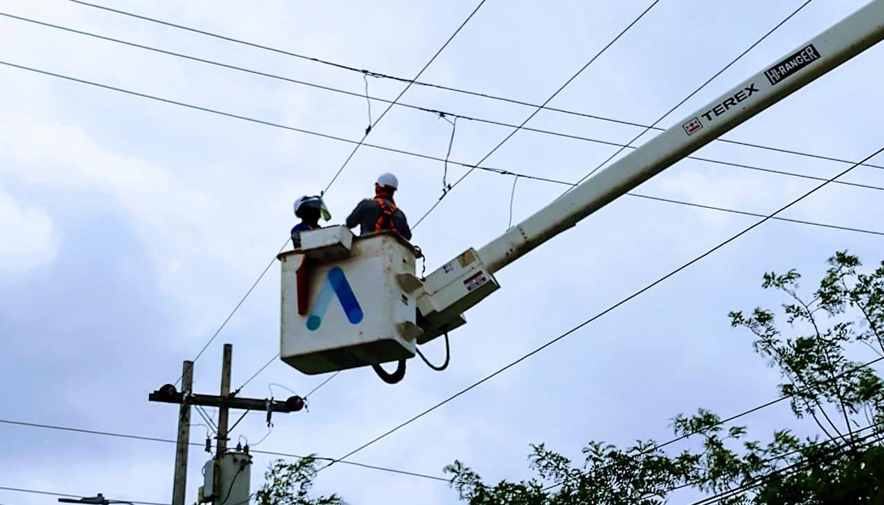 Imagen de referencia.