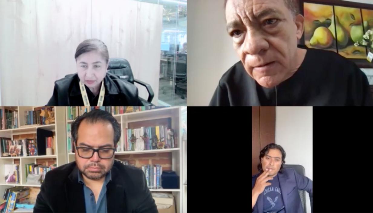 Aspecto de la audiencia virtual de este viernes. 