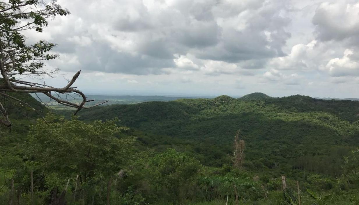 Imagen de referencia del Bosque Bijibana en Atlántico.