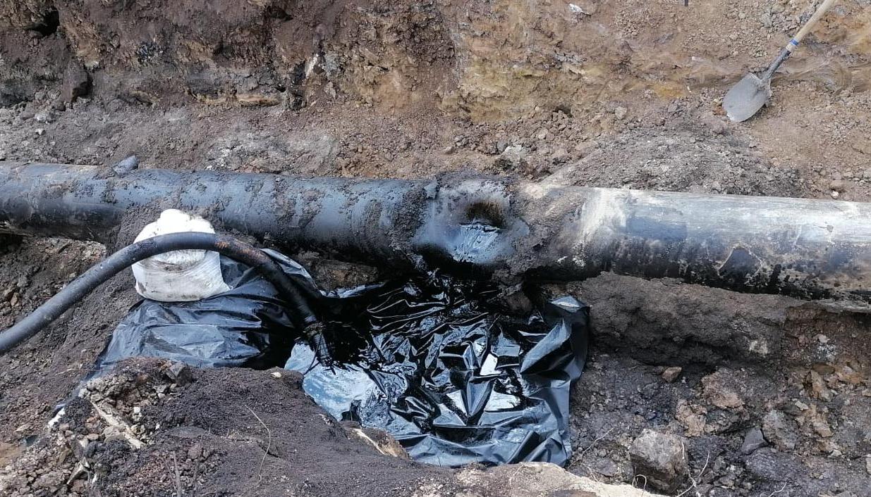 Imagen de referencia.