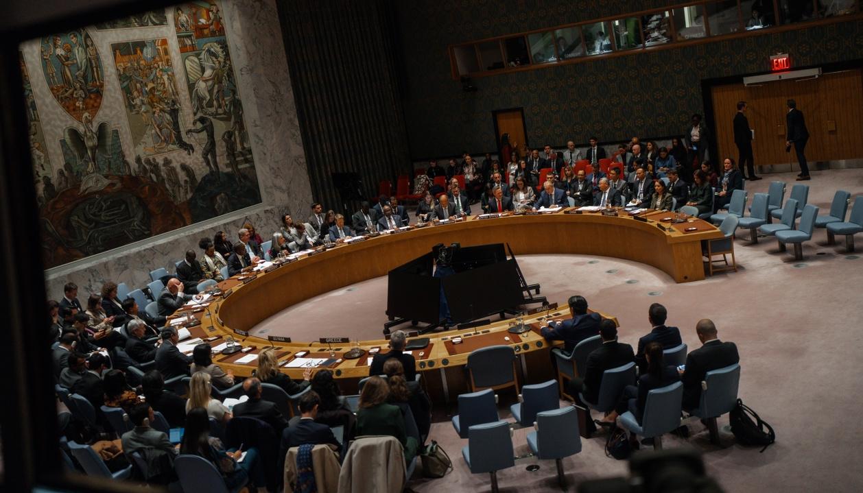 Consejo de Seguridad de la ONU.