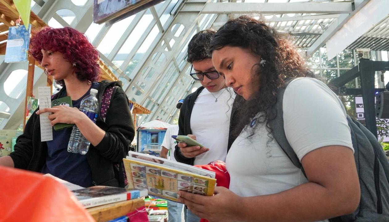 Imagen de referencia.