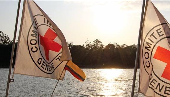 Imagen de referencia.