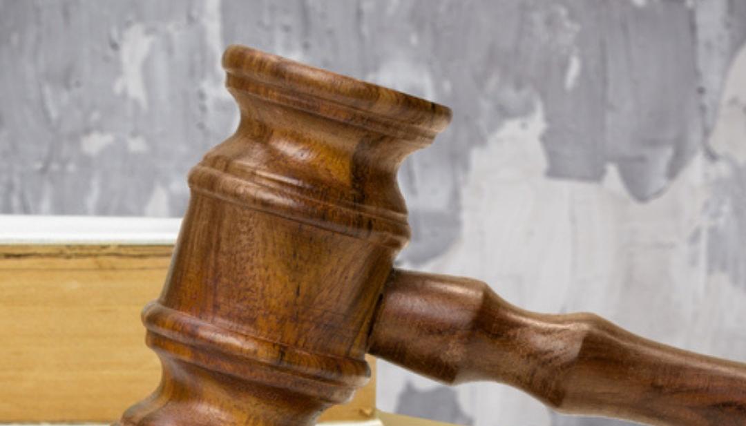 Imagen de referencia.