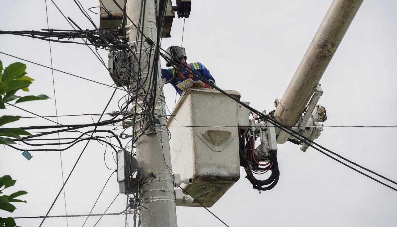 Imagen de referencia.