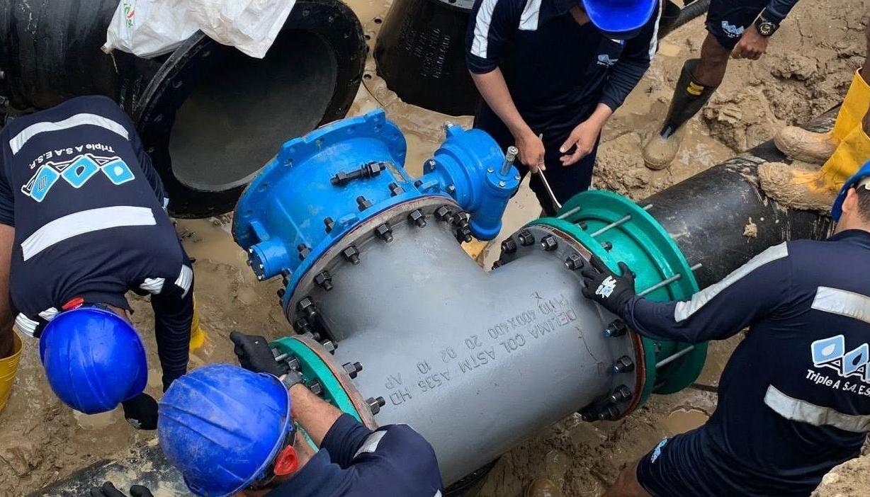 Imagen de referencia.