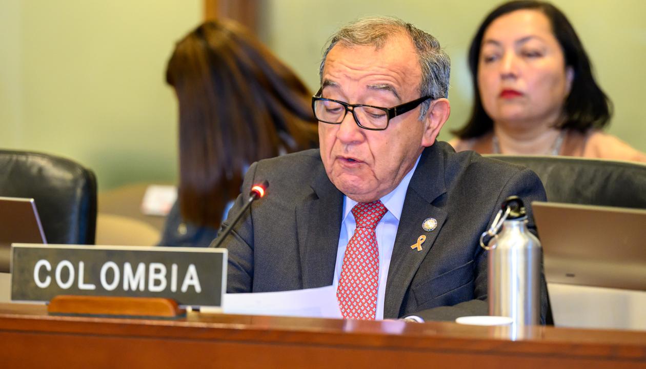 Representante de Colombia ante la OEA, Luis Vargas.