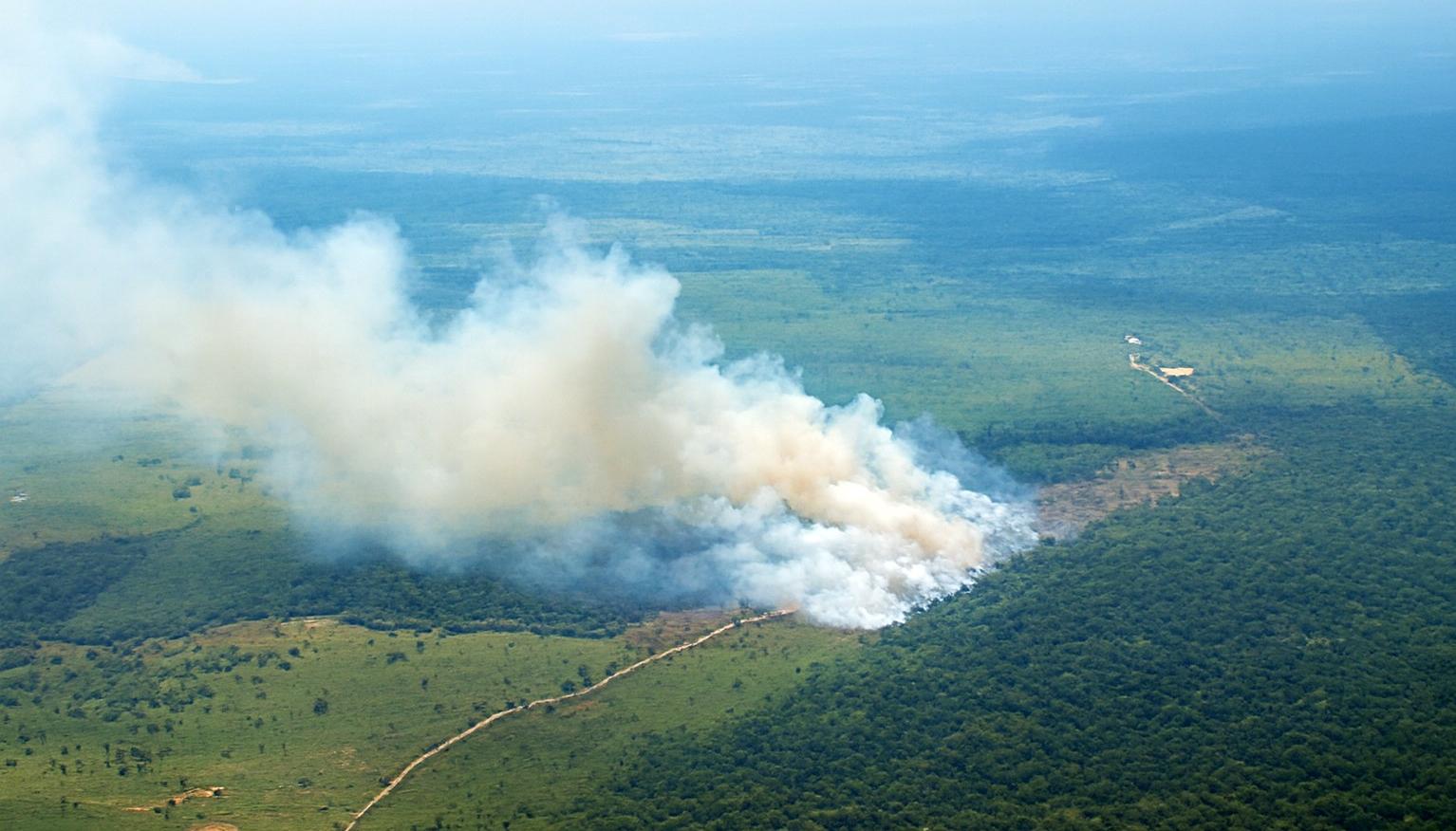 Incendios forestales.