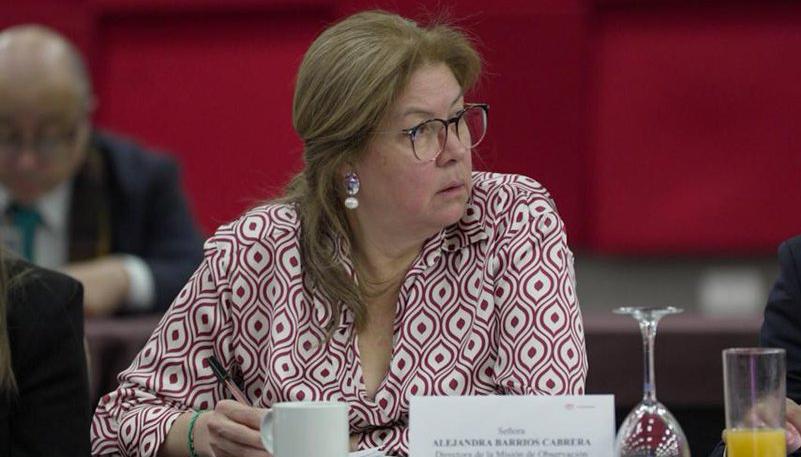 Alejandra Barrios Cabrera, directora de la MOE. 