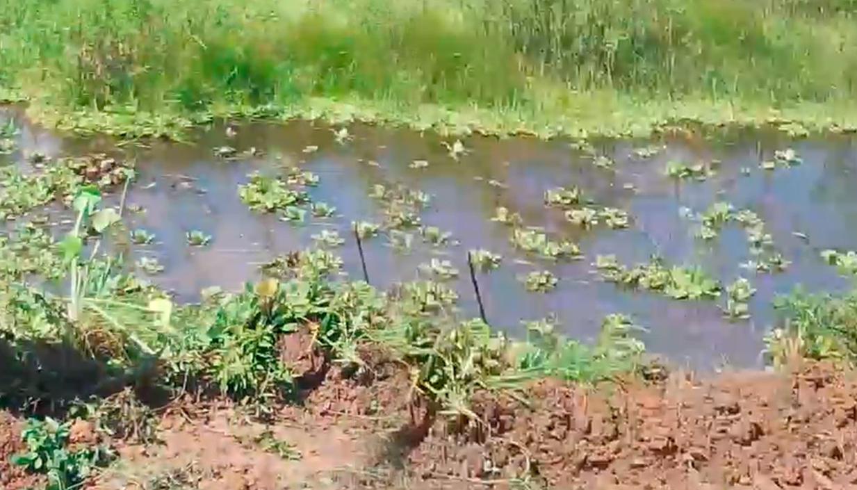 Jagüey donde fue hallado sin vida Isaías de Jesús Castro Aguilar.