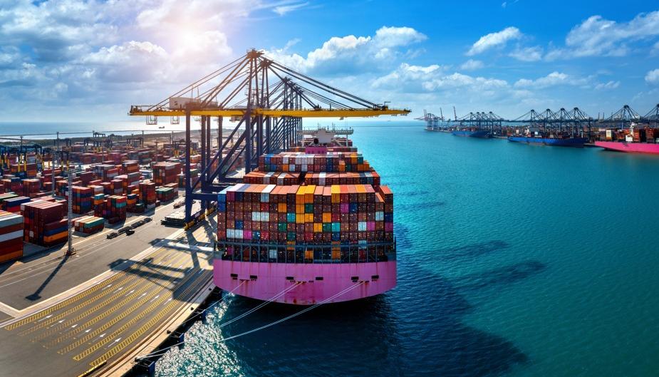 Imagen de referencia.