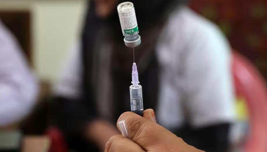 Imagen de referencia.