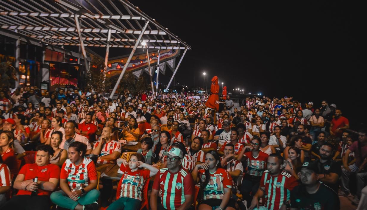 Imagen de referencia.