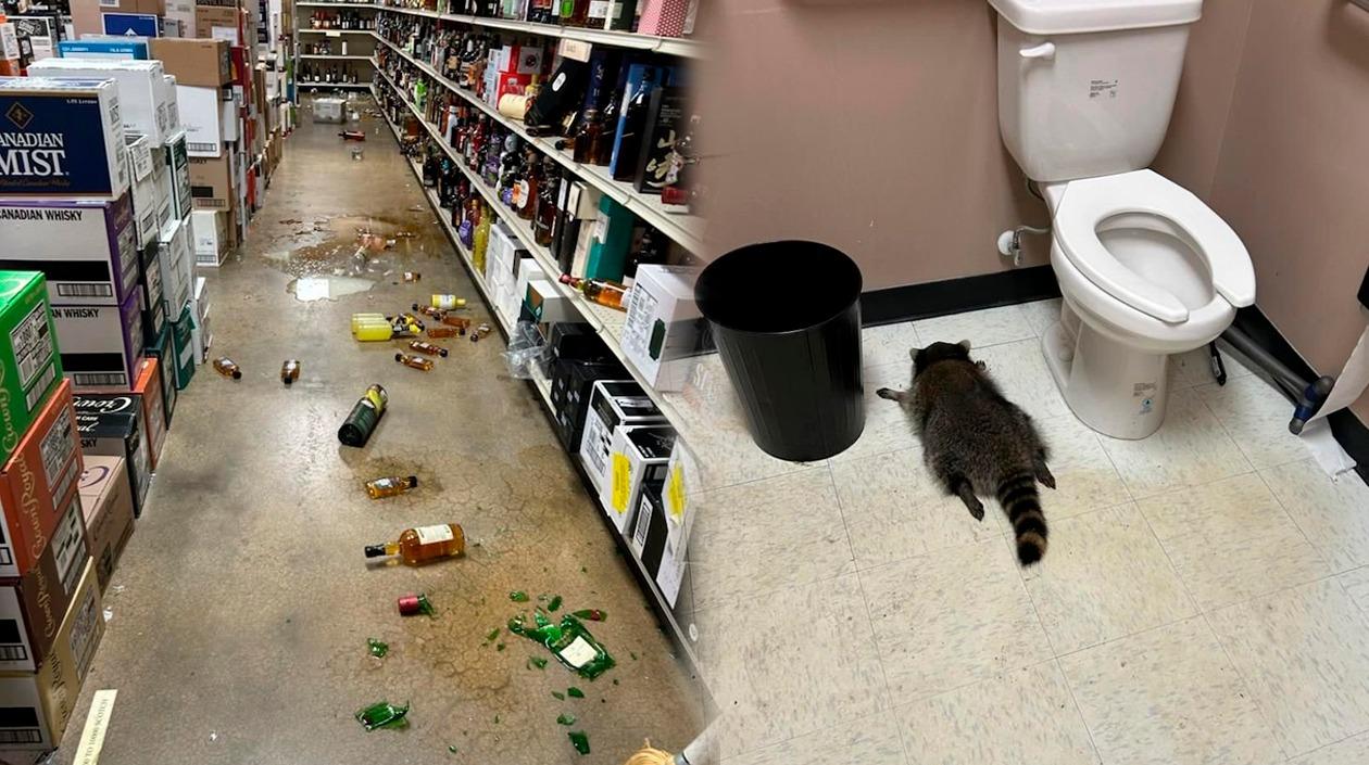 Fotografías difundidas por las autoridades.  