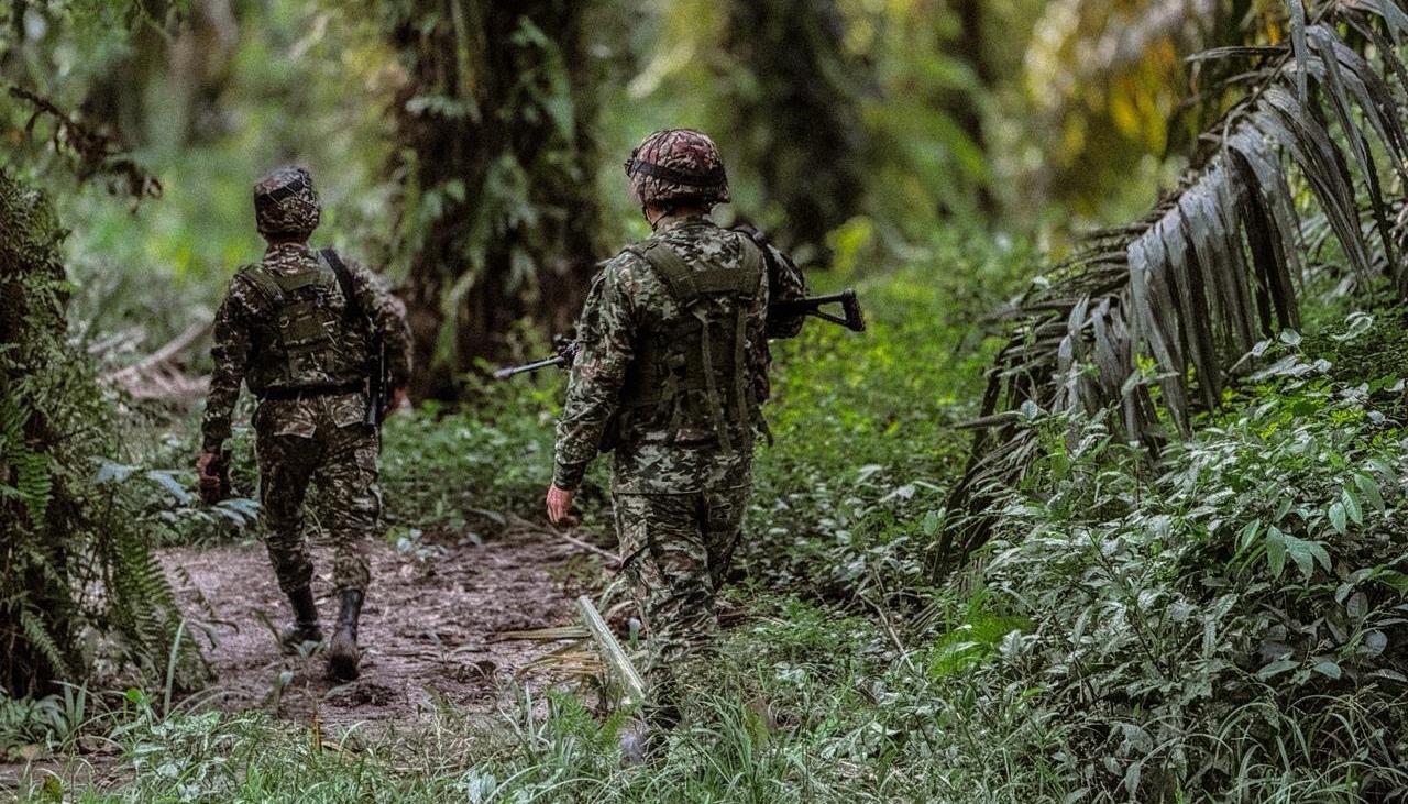 Imagen de referencia.